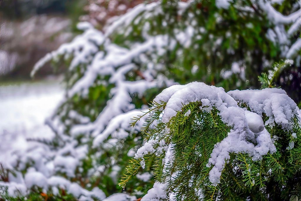 Производственный календарь на декабрь